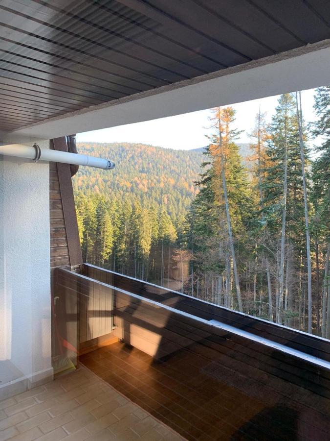 Апартаменты Cioplea View Предял Экстерьер фото
